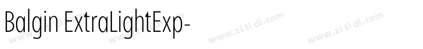 Balgin ExtraLightExp字体转换 Balgin ExtraLightExp字体转换